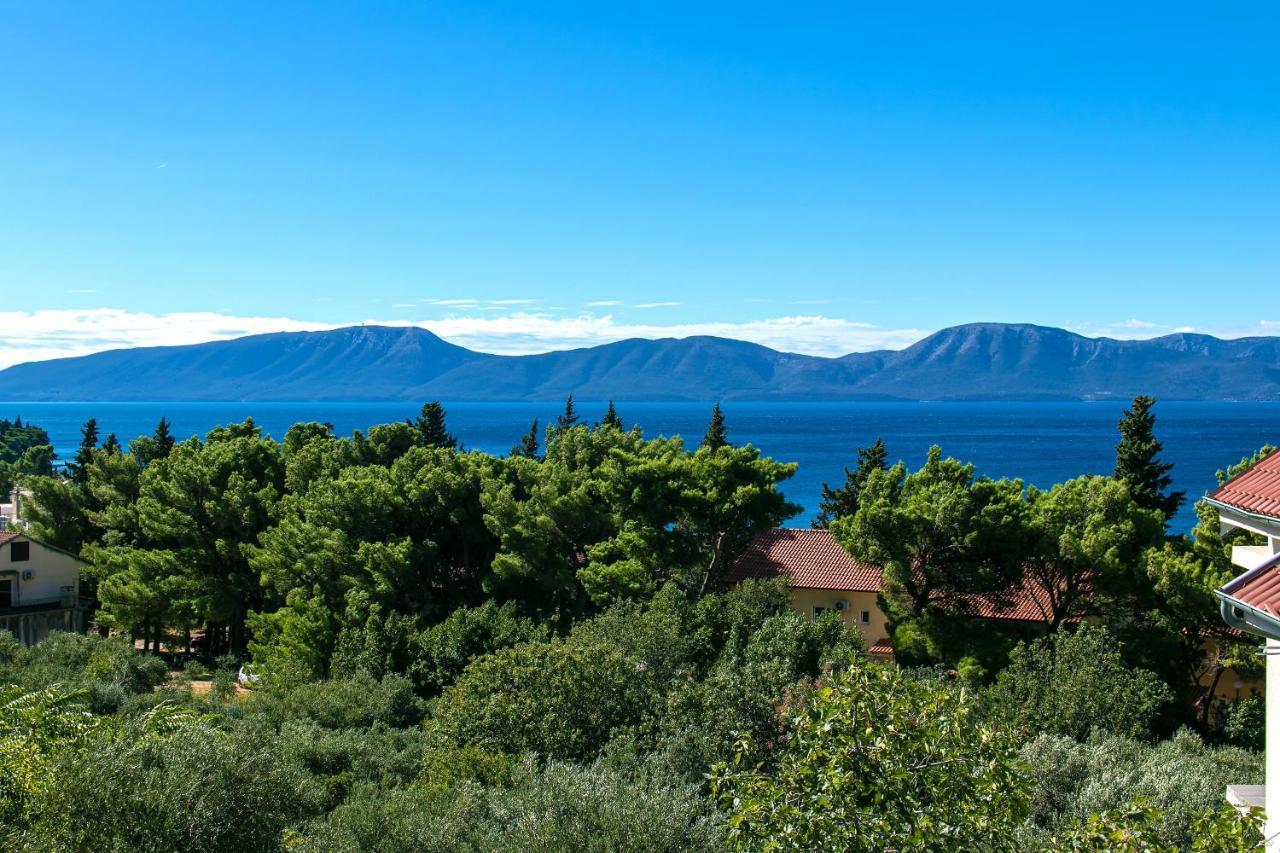 Apartments With A Parking Space Gradac, Makarska - 14708 Екстериор снимка