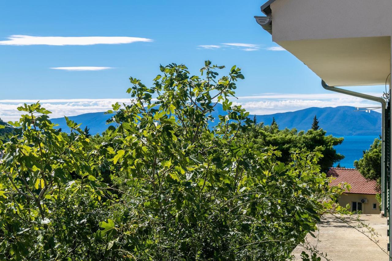 Apartments With A Parking Space Gradac, Makarska - 14708 Екстериор снимка